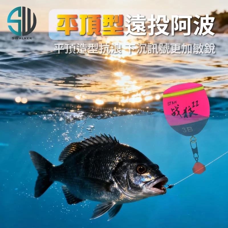 DAZHONG 戰狼II 外掛式阿波 ST系列（第 5 張）