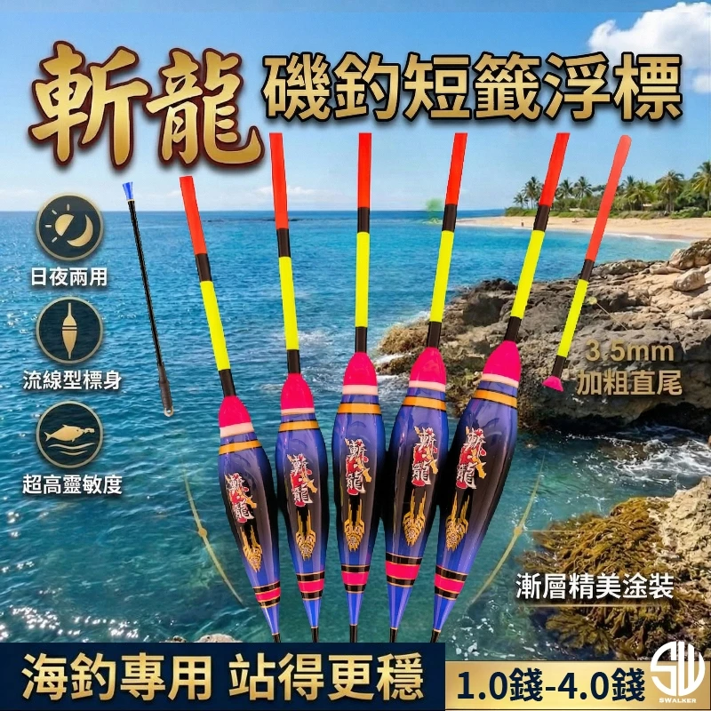 斬龍 流線型磯釣短籤 4mm粗直尾 1.0–3.0錢（第 2 張）