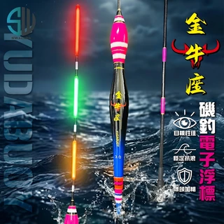 金牛座 葫蘆型磯釣電子長標 1.5–3.0號